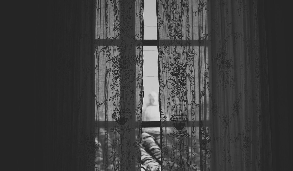 blog single post